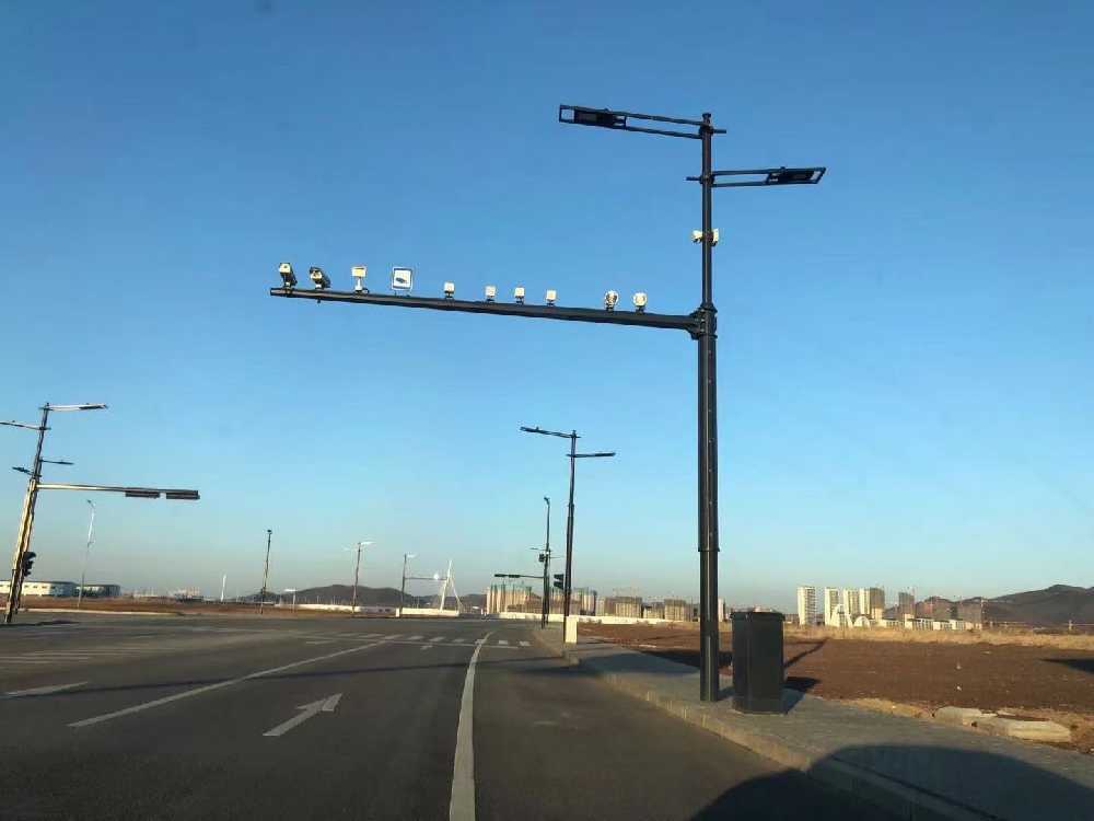 乐清市黑龙江佳木斯综合路灯杆项目