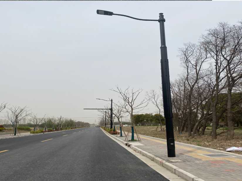 乐清市上海综合杆 太阳能路灯工程
